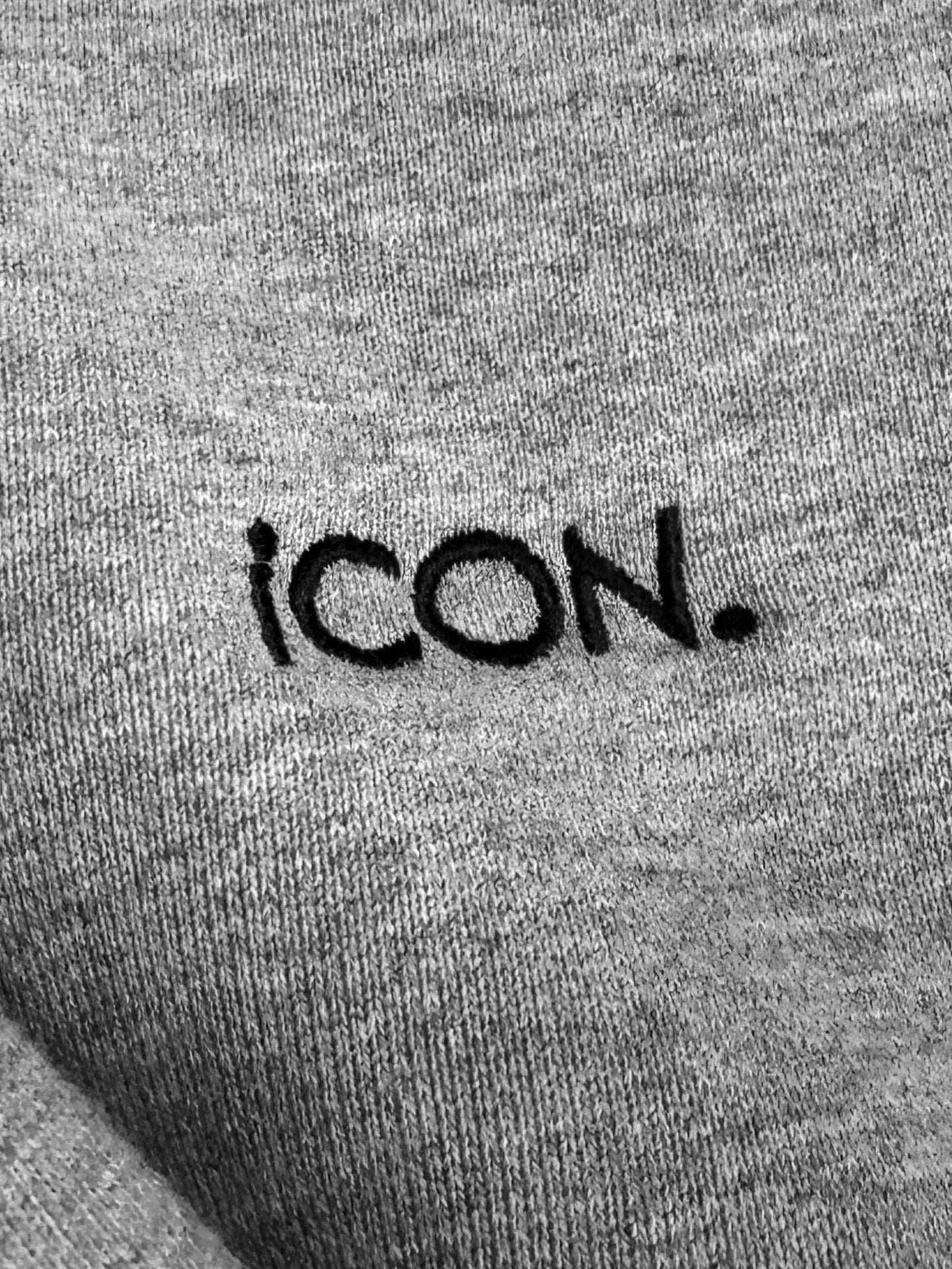 Tremolo【トレモロ】15th Anniv. iCON. Hoodie (GRAY)